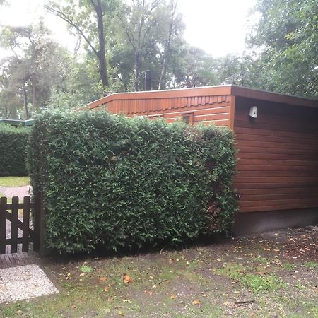 Cedar Cottage Veluwe Ermelo Εξωτερικό φωτογραφία